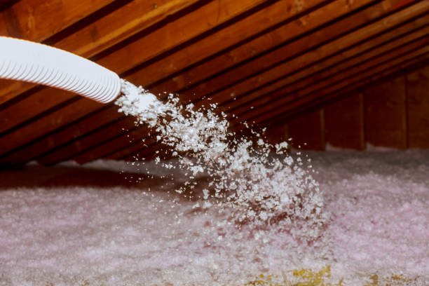 Best Affordable Insulation Services  in Farwell, TX