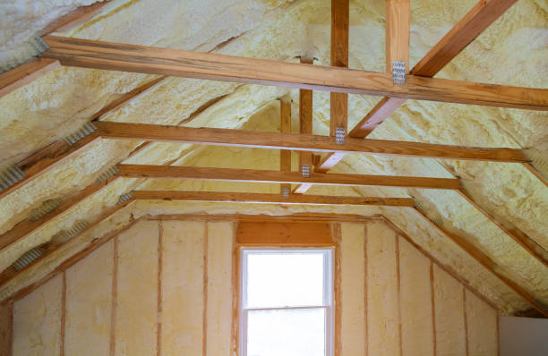 Best Wall Insulation Contractor  in Farwell, TX