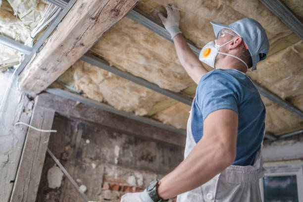 Best Insulation for New Construction  in Farwell, TX