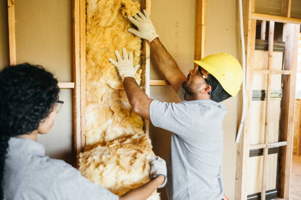 Best Energy-efficient Insulation  in Farwell, TX