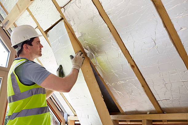 Best Insulation Contractor Near Me  in Farwell, TX